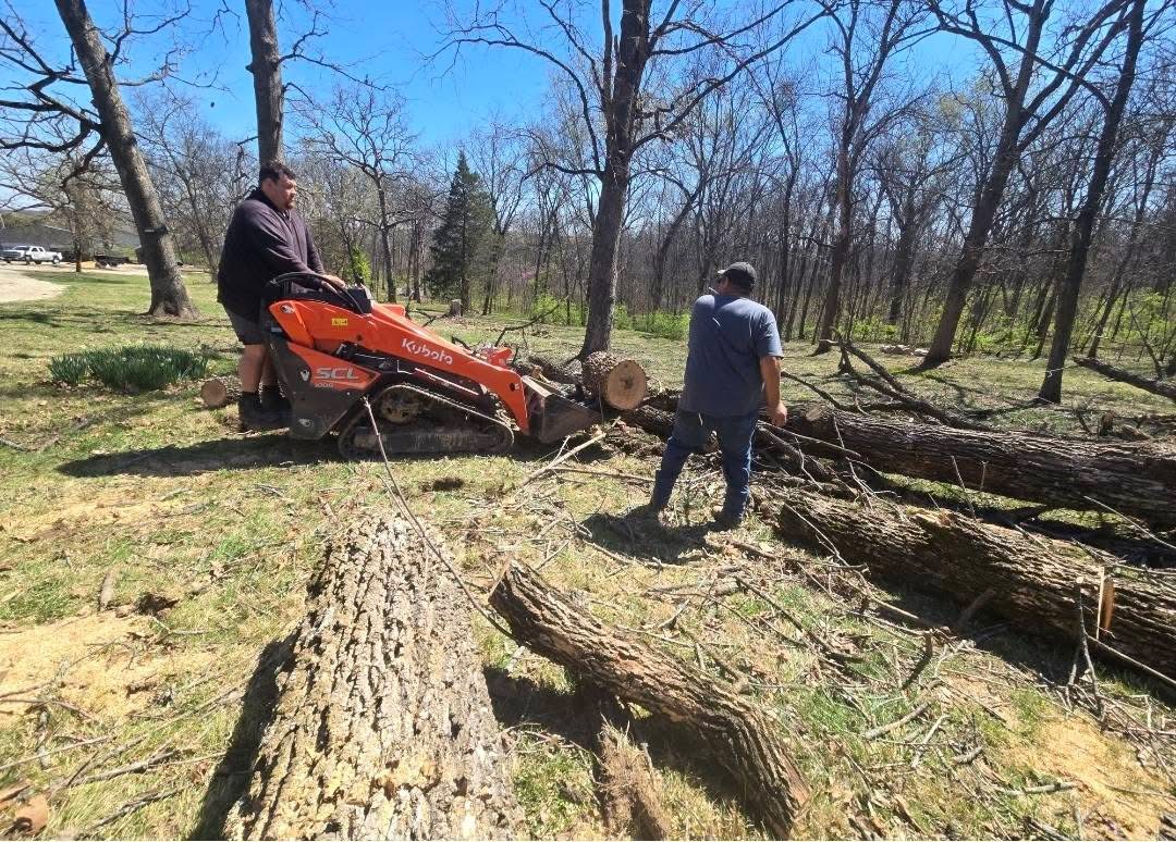 Wooded Lot Clearing